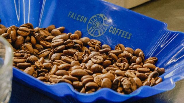 falcon coffees (2)