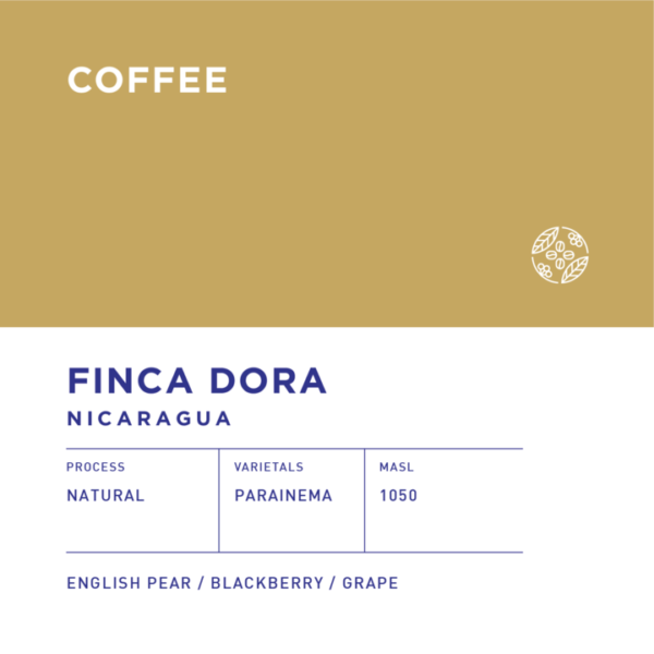 Nicaragua Finca Dora - Image 2